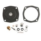 Carburetor Kit,