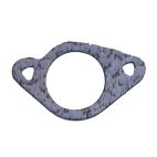 Intake Gasket, Quantum