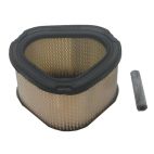 Air Filter - Power Equipment