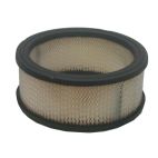 Air Filter, Round 2"H