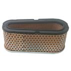 Air Filter, Oval 3"H