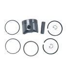 Piston with Ring Set, .020 OS