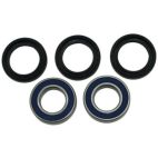 Bearing Kit