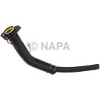 Fuel Filler Neck