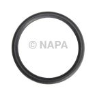 Fuel Pump Tank Seal
