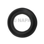 Fuel Pump Tank Seal