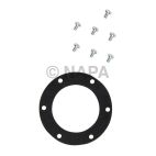 Fuel Pump Tank Seal