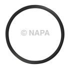 Fuel Pump Tank Seal