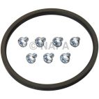 Fuel Pump Tank Seal