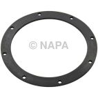 Fuel Pump Tank Seal