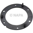 Fuel Pump Tank Seal