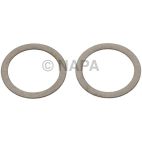 Fuel Pump Tank Seal