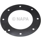 Fuel Pump Tank Seal