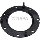 Fuel Pump Tank Seal