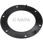 Fuel Pump Tank Seal