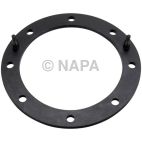Fuel Pump Tank Seal