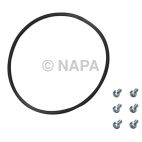 Fuel Pump Tank Seal