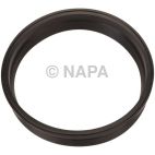 Fuel Pump Tank Seal