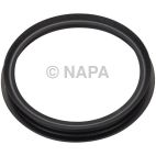 Fuel Pump Tank Seal