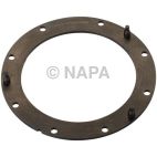 Fuel Pump Tank Seal