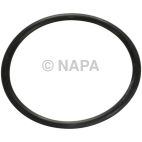 Fuel Pump Tank Seal