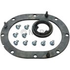 Fuel Pump Tank Seal