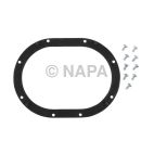 Fuel Pump Tank Seal
