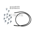 Fuel Pump Tank Seal