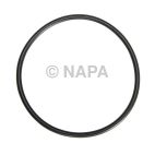 Fuel Pump Tank Seal