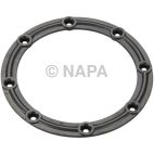 Fuel Pump Tank Seal