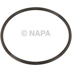 Fuel Pump Tank Seal