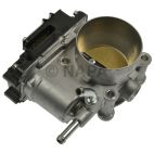 Fuel Injection Throttle Body