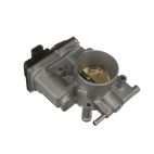 Fuel Injection Throttle Body