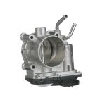 Fuel Injection Throttle Body