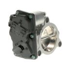 Fuel Injection Throttle Body