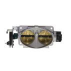 Fuel Injection Throttle Body