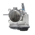 Fuel Injection Throttle Body
