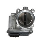 Fuel Injection Throttle Body