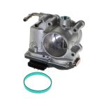 Fuel Injection Throttle Body