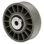 Accessory Drive Belt Idler Pulley