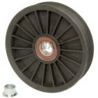Accessory Drive Belt Idler Pulley