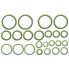 A/C System O-Ring and Gasket Kit