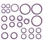 A/C System O-Ring and Gasket Kit