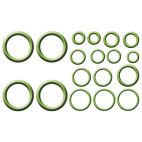 A/C System Seal Kit