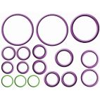 A/C System O-Ring and Gasket Kit