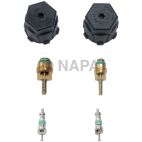 A/C System Valve Core and Cap Kit