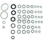 A/C System O-Ring and Gasket Kit
