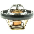 Engine Coolant Thermostat