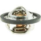 Engine Coolant Thermostat