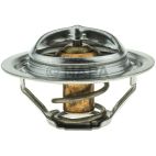 Engine Coolant Thermostat